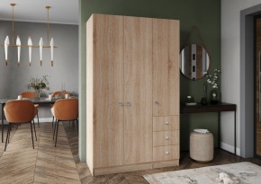 Шкаф Лофт 3-х створчатый в Ялуторовске - yalutorovsk.mebel24.online | фото 3