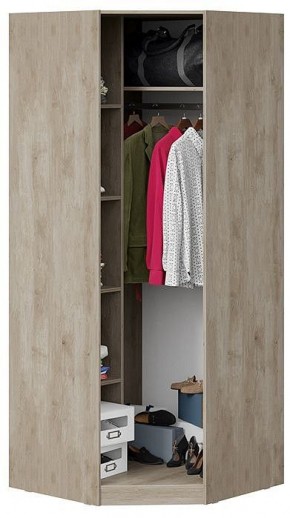 Шкаф платяной Эмбер СМ-348.07.007 L в Ялуторовске - yalutorovsk.mebel24.online | фото 4