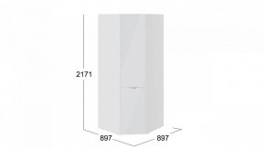 Шкаф платяной Глосс СМ-319.07.311 в Ялуторовске - yalutorovsk.mebel24.online | фото 3