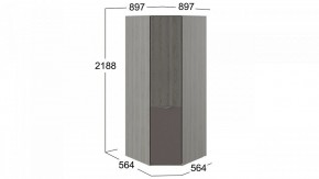 Шкаф платяной Либерти СМ-297.07.033 в Ялуторовске - yalutorovsk.mebel24.online | фото 3