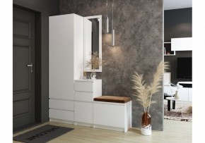 Шкаф платяной Мадера в Ялуторовске - yalutorovsk.mebel24.online | фото 4