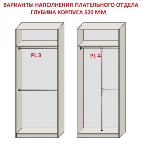 Шкаф распашной серия «ЗЕВС» (PL3/С1/PL2) в Ялуторовске - yalutorovsk.mebel24.online | фото 10