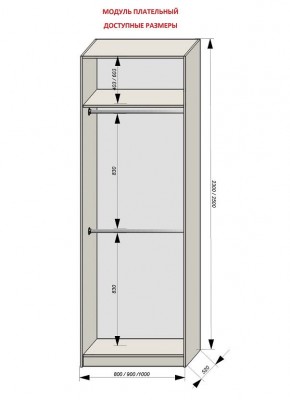 Шкаф распашной серия «ЗЕВС» (PL3/С1/PL2) в Ялуторовске - yalutorovsk.mebel24.online | фото 12