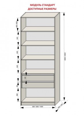 Шкаф распашной серия «ЗЕВС» (PL3/С1/PL2) в Ялуторовске - yalutorovsk.mebel24.online | фото 13