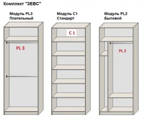 Шкаф распашной серия «ЗЕВС» (PL3/С1/PL2) в Ялуторовске - yalutorovsk.mebel24.online | фото 2