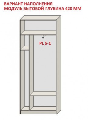 Шкаф распашной серия «ЗЕВС» (PL3/С1/PL2) в Ялуторовске - yalutorovsk.mebel24.online | фото 4