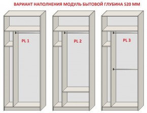 Шкаф распашной серия «ЗЕВС» (PL3/С1/PL2) в Ялуторовске - yalutorovsk.mebel24.online | фото 5