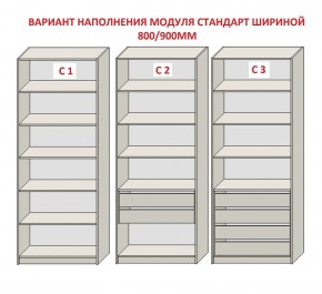 Шкаф распашной серия «ЗЕВС» (PL3/С1/PL2) в Ялуторовске - yalutorovsk.mebel24.online | фото 6