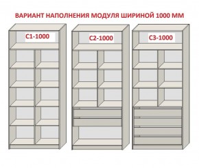 Шкаф распашной серия «ЗЕВС» (PL3/С1/PL2) в Ялуторовске - yalutorovsk.mebel24.online | фото 7