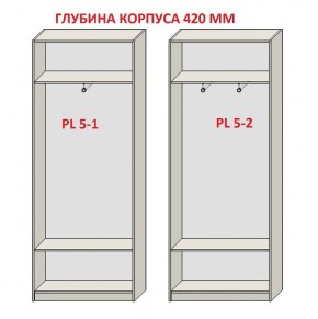 Шкаф распашной серия «ЗЕВС» (PL3/С1/PL2) в Ялуторовске - yalutorovsk.mebel24.online | фото 8