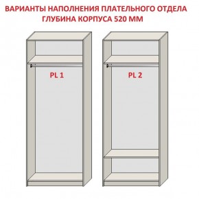 Шкаф распашной серия «ЗЕВС» (PL3/С1/PL2) в Ялуторовске - yalutorovsk.mebel24.online | фото 9