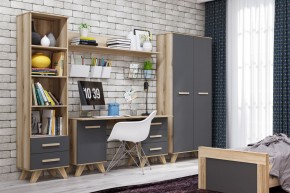 Шкаф-стеллаж 450 Вега Скандинавия в Ялуторовске - yalutorovsk.mebel24.online | фото 6
