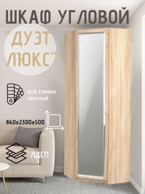 Шкаф угловой Дуэт Люкс с зеркалом в Ялуторовске - yalutorovsk.mebel24.online | фото
