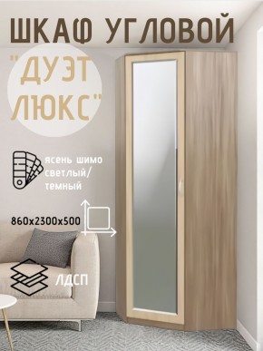 Шкаф угловой Дуэт Люкс с зеркалом в Ялуторовске - yalutorovsk.mebel24.online | фото 3
