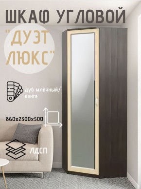Шкаф угловой Дуэт Люкс с зеркалом в Ялуторовске - yalutorovsk.mebel24.online | фото 5