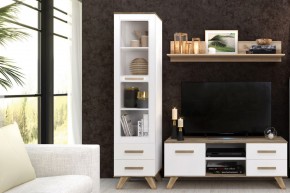 Шкаф-витрина 450 Вега Скандинавия в Ялуторовске - yalutorovsk.mebel24.online | фото 4