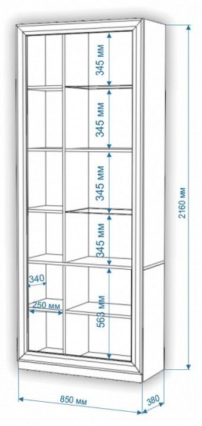 Шкаф-витрина Нобиле ШВтВ-ФСД-БЯН в Ялуторовске - yalutorovsk.mebel24.online | фото 3