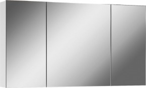 Шкаф-зеркало Мечта 100 АЙСБЕРГ (DM2322HZ) в Ялуторовске - yalutorovsk.mebel24.online | фото 1