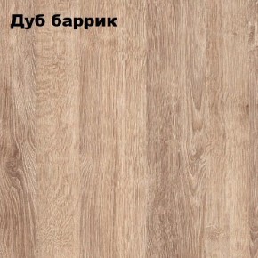 ГРАФ Стеллаж (дуб баррик) в Ялуторовске - yalutorovsk.mebel24.online | фото 2