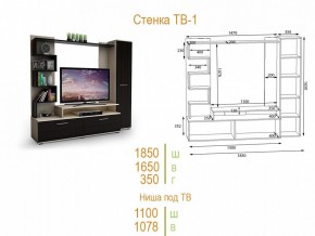 Стенка для гостиной ТВ-1 в Ялуторовске - yalutorovsk.mebel24.online | фото 2