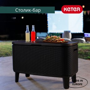 Стол Беви Бар (Bevy Bar Large Cool Bar), коричневый в Ялуторовске - yalutorovsk.mebel24.online | фото 4