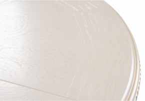Стол обеденный Нозеан в Ялуторовске - yalutorovsk.mebel24.online | фото 9