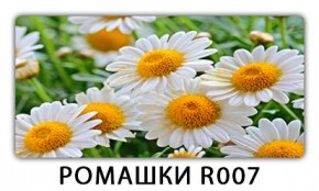 Стол раздвижной Трилогия с фотопечатью Лайм R156 в Ялуторовске - yalutorovsk.mebel24.online | фото 15