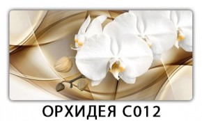 Стол раздвижной Трилогия с фотопечатью Ромашки R007 в Ялуторовске - yalutorovsk.mebel24.online | фото 13