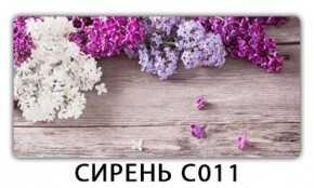 Стол раздвижной Трилогия с фотопечатью Ромашки R007 в Ялуторовске - yalutorovsk.mebel24.online | фото 16