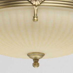 Светильник на штанге MW-Light Афродита 1 317011504 в Ялуторовске - yalutorovsk.mebel24.online | фото 4
