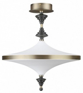 Светильник на штанге Odeon Light Ula 5404/43CL в Ялуторовске - yalutorovsk.mebel24.online | фото