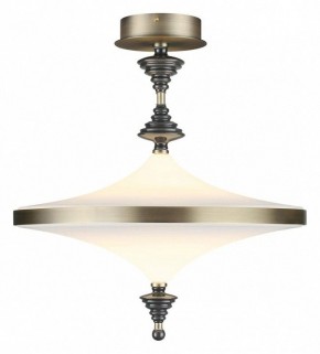 Светильник на штанге Odeon Light Ula 5404/43CL в Ялуторовске - yalutorovsk.mebel24.online | фото 2