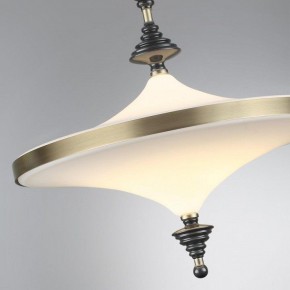 Светильник на штанге Odeon Light Ula 5404/43CL в Ялуторовске - yalutorovsk.mebel24.online | фото 6