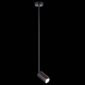 Светильник на штанге ST-Luce Sormano SL1206.403.01 в Ялуторовске - yalutorovsk.mebel24.online | фото 3