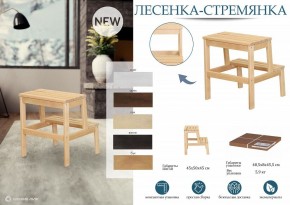 Табурет Стремянка в Ялуторовске - yalutorovsk.mebel24.online | фото 6