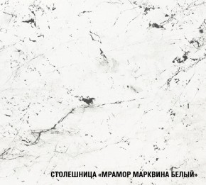 ТЕРЦИЯ Кухонный гарнитур Экстра 5 (3000 мм) в Ялуторовске - yalutorovsk.mebel24.online | фото 8