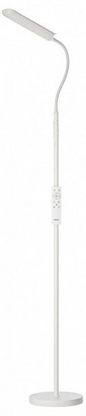 Торшер Citilux Alex CL804050 в Ялуторовске - yalutorovsk.mebel24.online | фото