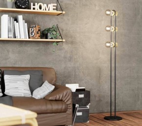 Торшер Eglo ПРОМО Chieveley 43544 в Ялуторовске - yalutorovsk.mebel24.online | фото 2