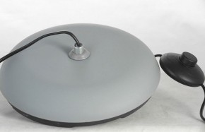 Торшер Lussole Flagstaff LSP-0630 в Ялуторовске - yalutorovsk.mebel24.online | фото 6