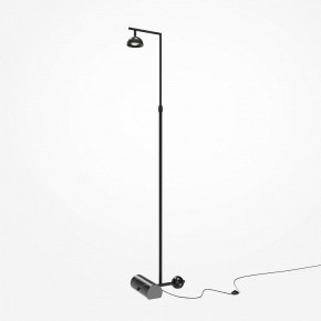 Торшер Maytoni Pikant MOD372FL-L10B3K в Ялуторовске - yalutorovsk.mebel24.online | фото 2