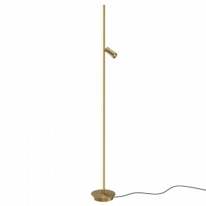 Торшер Maytoni Thin MOD395FL-L28BS3K в Ялуторовске - yalutorovsk.mebel24.online | фото