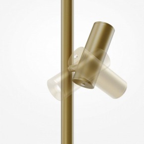 Торшер Maytoni Thin MOD395FL-L28BS3K в Ялуторовске - yalutorovsk.mebel24.online | фото 6