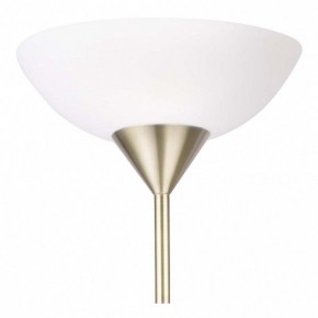 Торшер с подсветкой Arte Lamp Duetto A9569PN-2AB в Ялуторовске - yalutorovsk.mebel24.online | фото 5