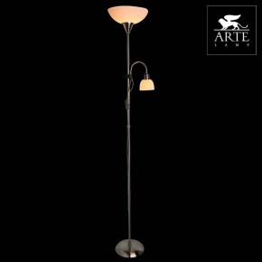 Торшер с подсветкой Arte Lamp Duetto A9569PN-2SS в Ялуторовске - yalutorovsk.mebel24.online | фото 3