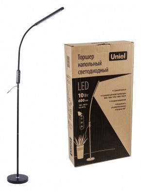 Торшер Uniel ULM-T619 UL-00010178 в Ялуторовске - yalutorovsk.mebel24.online | фото 2