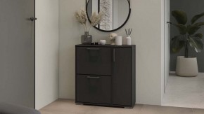 Тумбочка для обуви Тип 15 в Ялуторовске - yalutorovsk.mebel24.online | фото 5