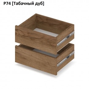 РОЛАНД Выдвижные ящики  Р76 в Ялуторовске - yalutorovsk.mebel24.online | фото 10